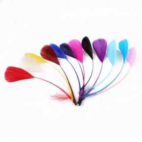 colorful goose feather